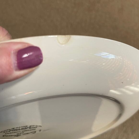 Vintage Taylor Smith & Taylor Autumn Harvest 10" Ceramic Dinner Plate MCM - Picture 7 of 8